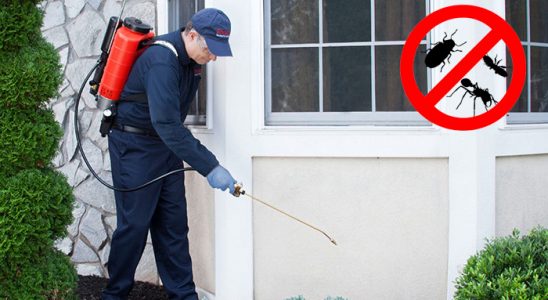 Arpaçay Bit İlaçlama böcek ilaçlama ve haşere kontrolü — ilaclama-tr.com